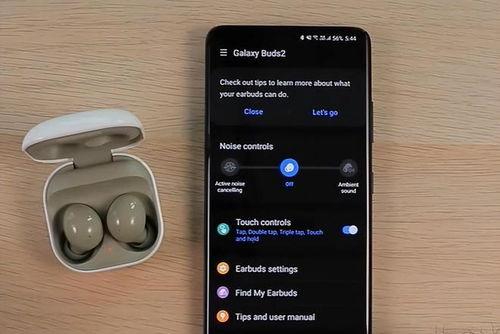 观光爆料箱视频播放,视频带你领略绝美风景瞬间